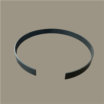 612-1000-100 | WR-NYL- 10 X 1 Wear Ring | CRC Distribution Inc.