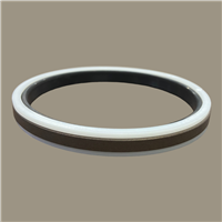 MCPS-125X110X12.5 | PA-PTFE-110 X 125 X 12.5 | CRC Distribution Inc.